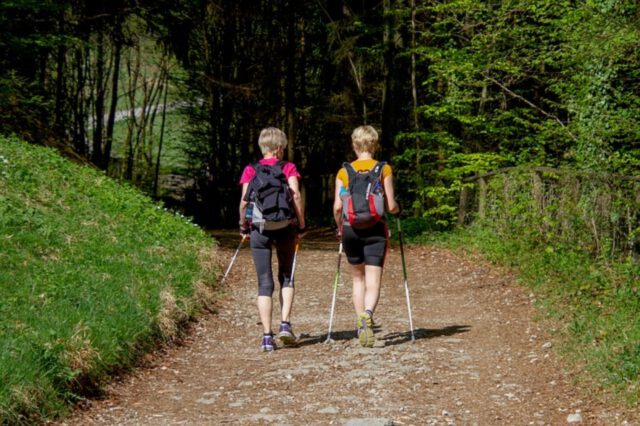 Zdrowy ruch – nordic walking